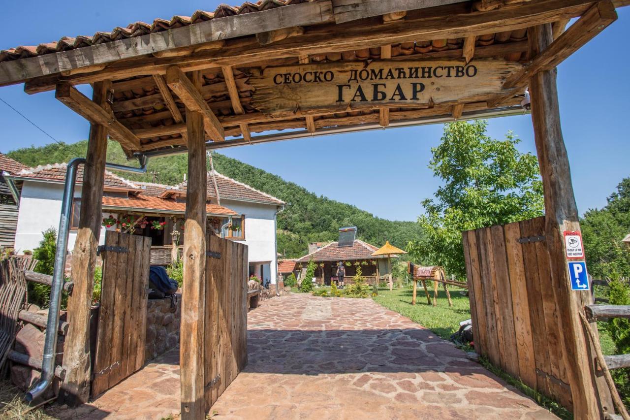 Villa Seosko Domacinstvo „Gabar” Custica Exterior foto